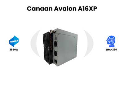 Canaan Avalon A16XP_banner_1